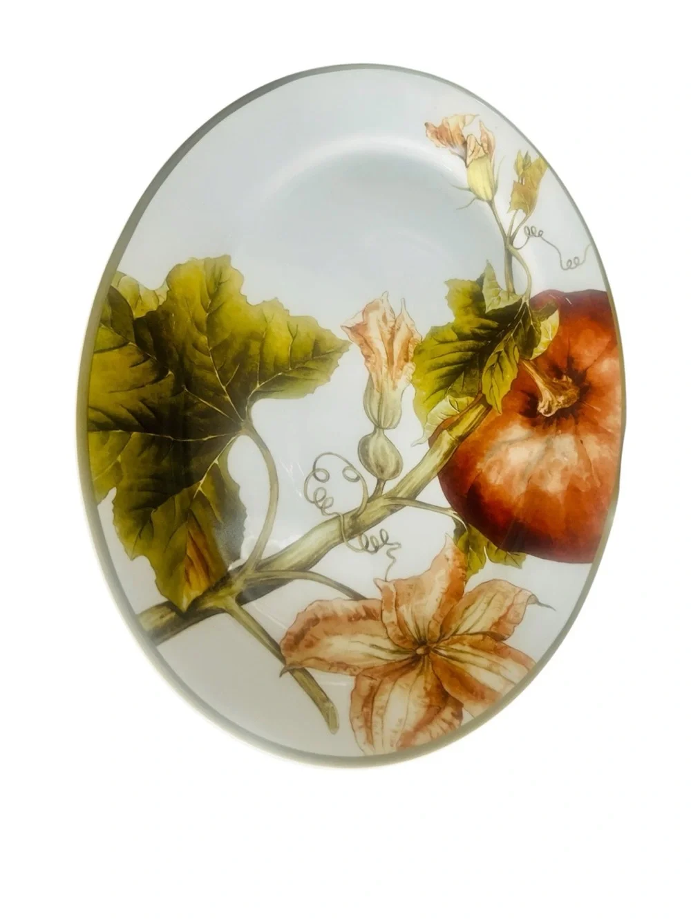 Williams Sonoma Botanical Pumpkin Oval Serving Platter 19.5” Porcelain Fall